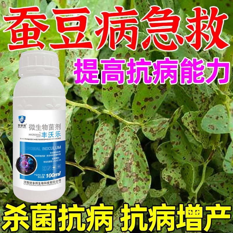 蚕豆病全治进口蚕豆专用杀菌剂蚕豆病菌清强效正品根腐病霜霉灰斑