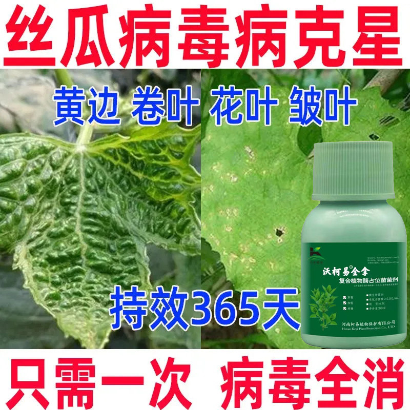 黄瓜靶斑病黄瓜黄叶病叶斑病叶枯病黄瓜霜霉病丝瓜专用农药杀菌剂