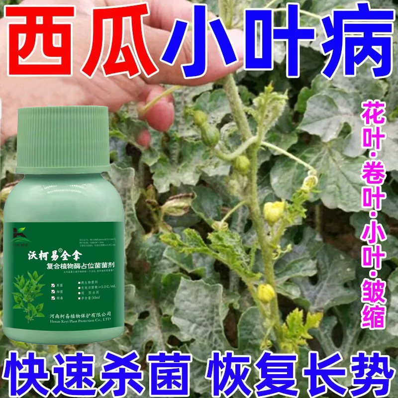 西瓜专用药病全治新一代西瓜专用杀菌剂枯萎病蔓枯病根腐强效正品