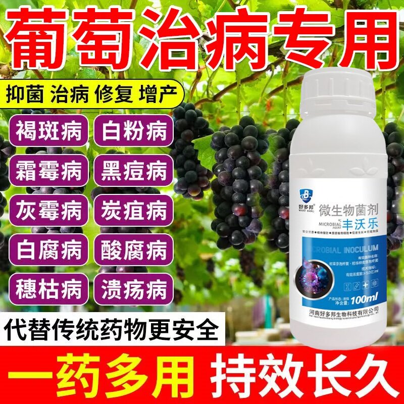 葡萄病专治葡萄专用增产菌剂微生物菌剂肥料霜霉灰黑痘白粉褐腐病
