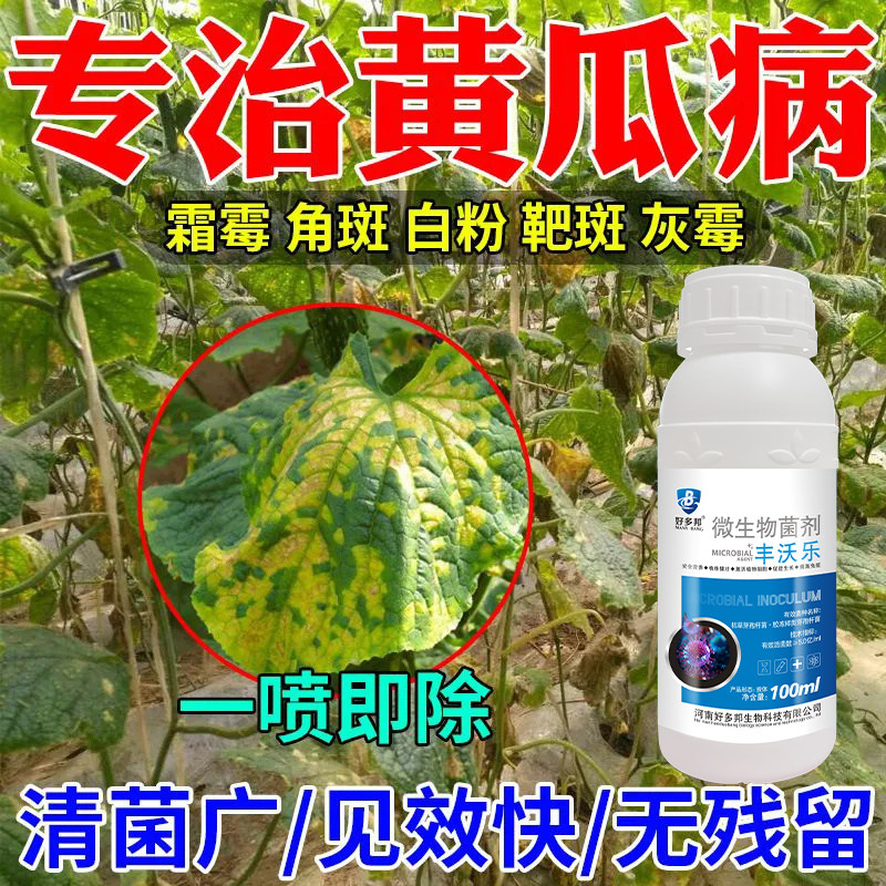 黄瓜专用药杀菌剂黄瓜病毒病病特效药黄瓜拉直素黄瓜专用肥