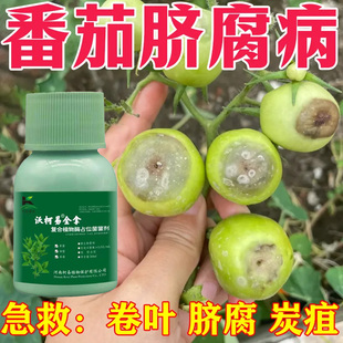 番茄死苗烂根复活液青枯病西红柿烂根根腐黄叶枯萎抗重茬生物菌剂