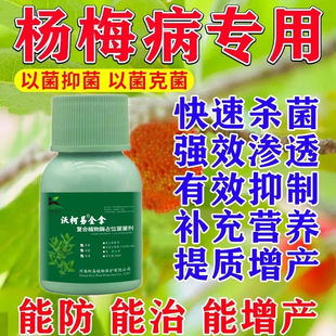 杨梅微生物菌肥杨梅病全治杨梅专用病全治根腐病凋萎病枯枝病褐斑