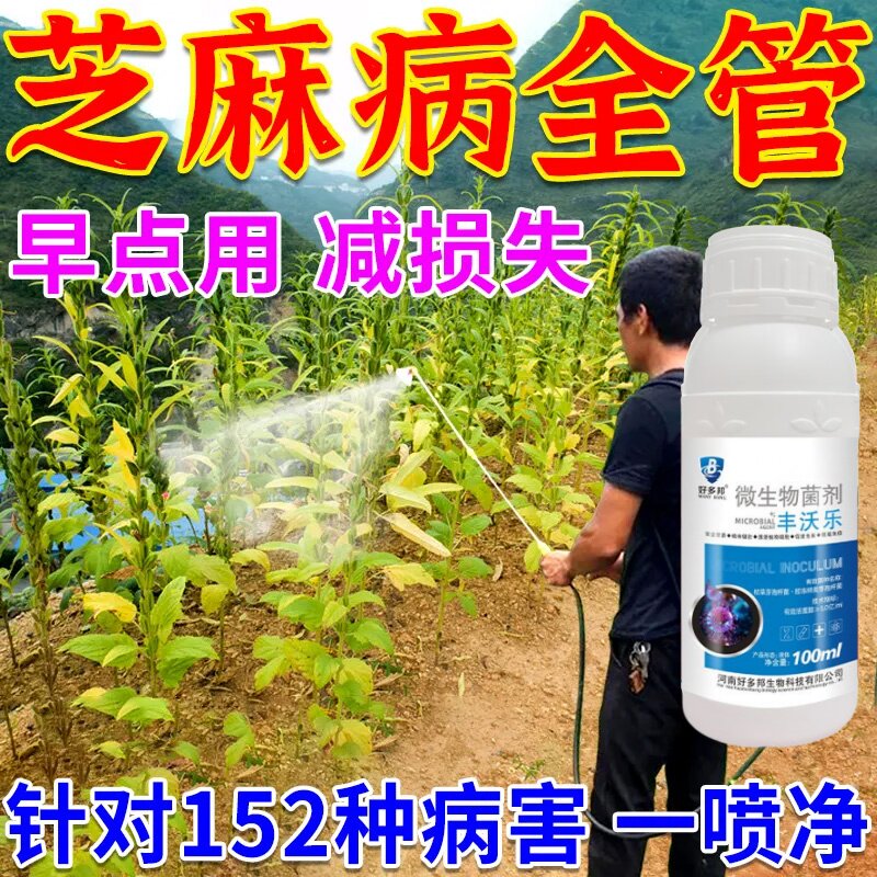 芝麻病全治芝麻防瘟病药芝麻疫病炭疽病枯萎病根腐病白粉病杀菌剂
