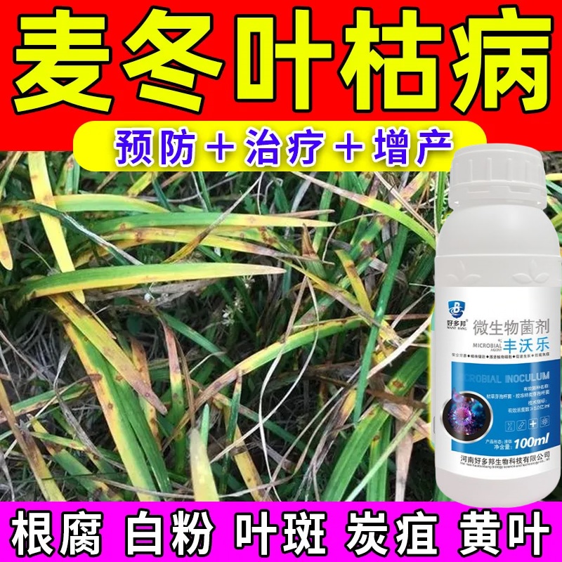 麦冬专用药麦冬病全治叶枯病黑斑病炭疽病根腐根线虫病专用杀菌剂