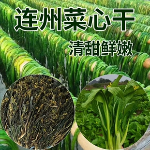 连州菜心干广东连州特产农家自晒清甜菜心干脱水蔬菜煲汤干货无沙