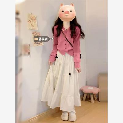 2025新款早秋季穿搭一整套韩风chic巨好看的慵懒风毛衣半身裙套装