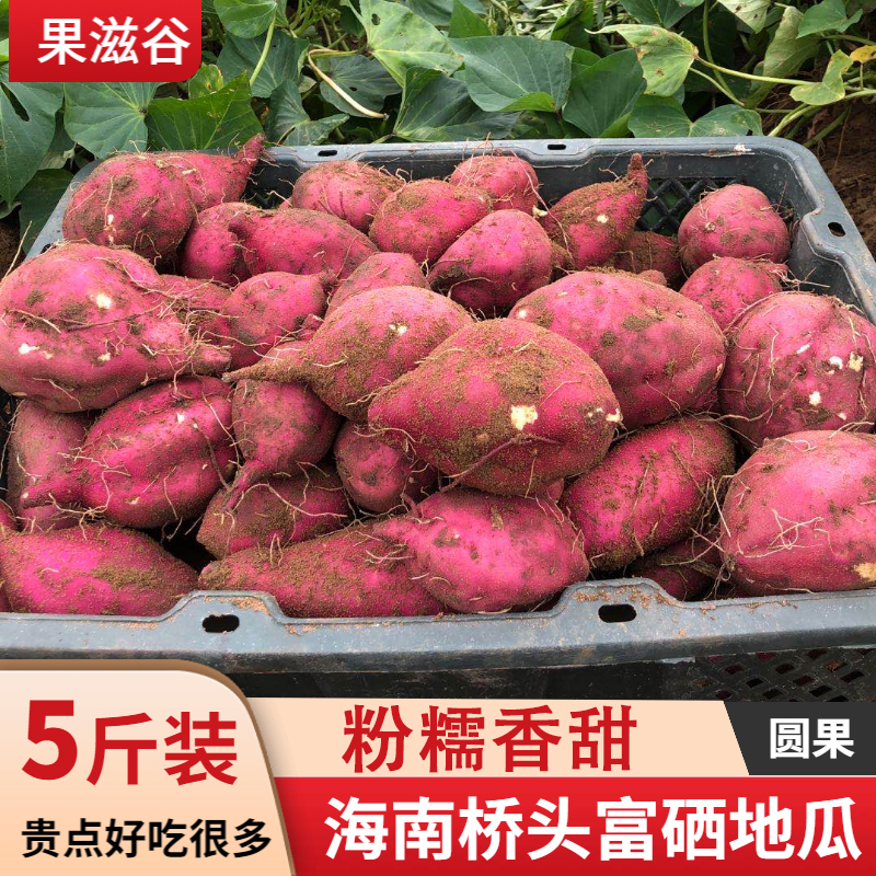 海南澄迈带箱10板栗红薯富硒地瓜