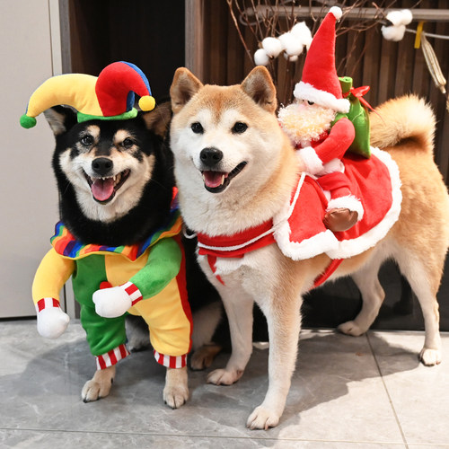 狗狗搞笑衣服四季柴犬泰迪宠物中小型犬柯基变身装cosplay圣诞节
