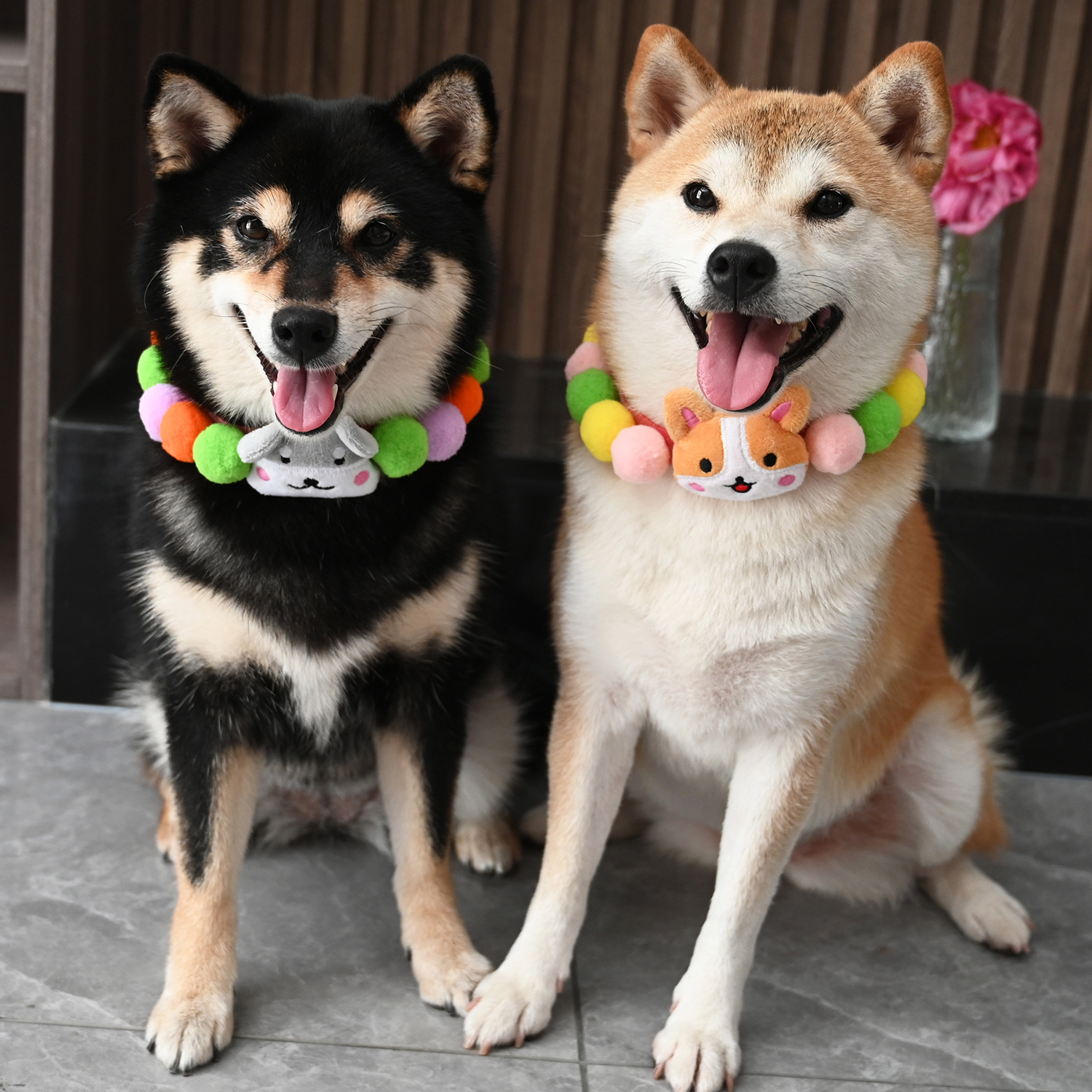 宠物狗狗猫咪雪纳瑞柯基柴犬项圈围脖国风彩虹色毛球项链领结饰品