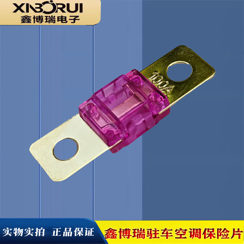 鑫博瑞保险片 驻车空调专用电源220V转24V降压器充电器100A保险丝