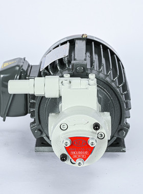 新款台湾技术志观维良日本NOP同款 TswuKwan 油泵TK-150 10ST包邮