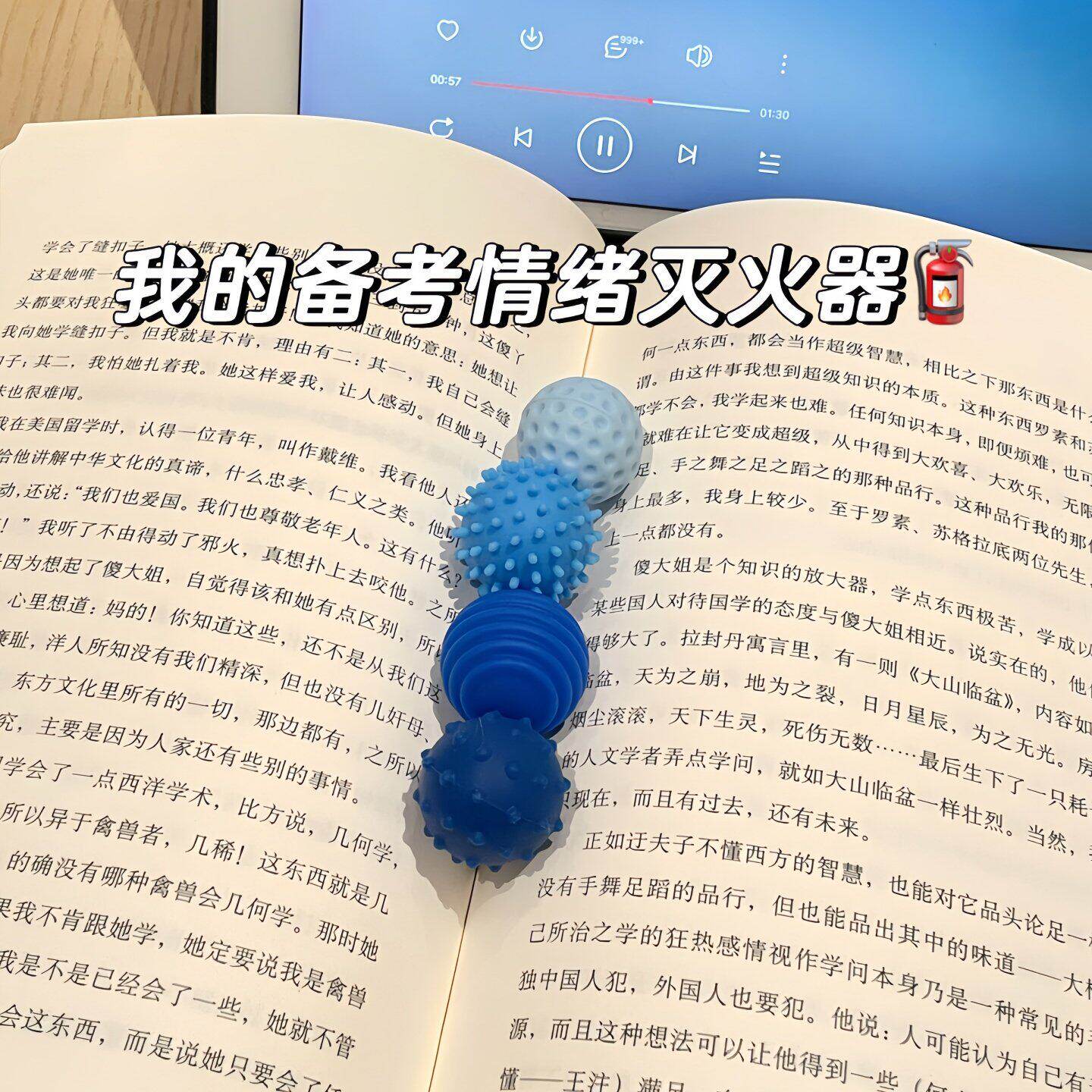 【ADHD专注解压】集中注意力神器考研专升本背书感官石缓解焦虑
