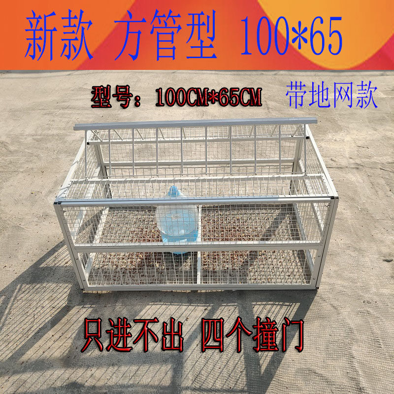 信鸽用品用具只进不出加厚活络门活动门鸽子天落笼自动撞门小鸽舍