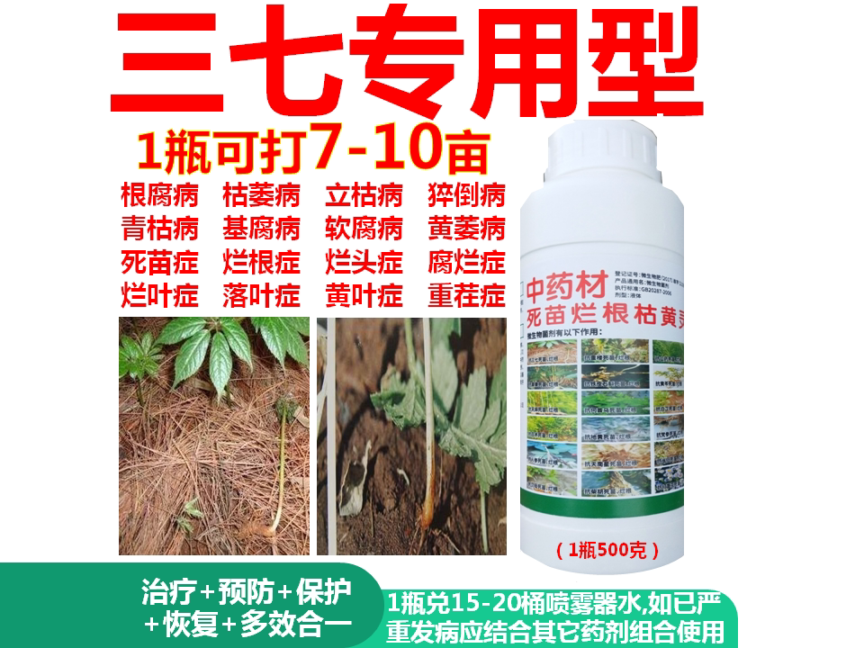三七死苗烂根专用药有效防控根腐立枯青枯猝倒枯萎黄叶死苗一喷绿