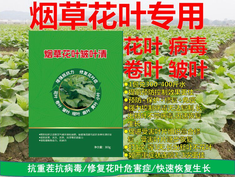 烤烟花叶清烟草辣椒番茄瓜果蔬百香果病毒病花叶病抗性变异病毒