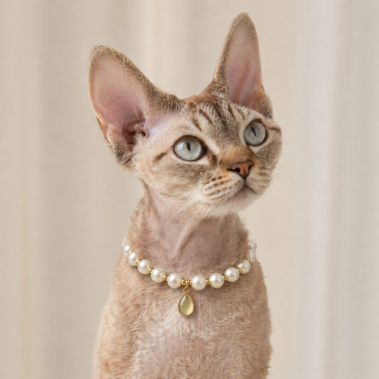宠物淡彩水滴宝石项链猫咪项圈狗狗颈链珍珠气质装饰品小猫比熊