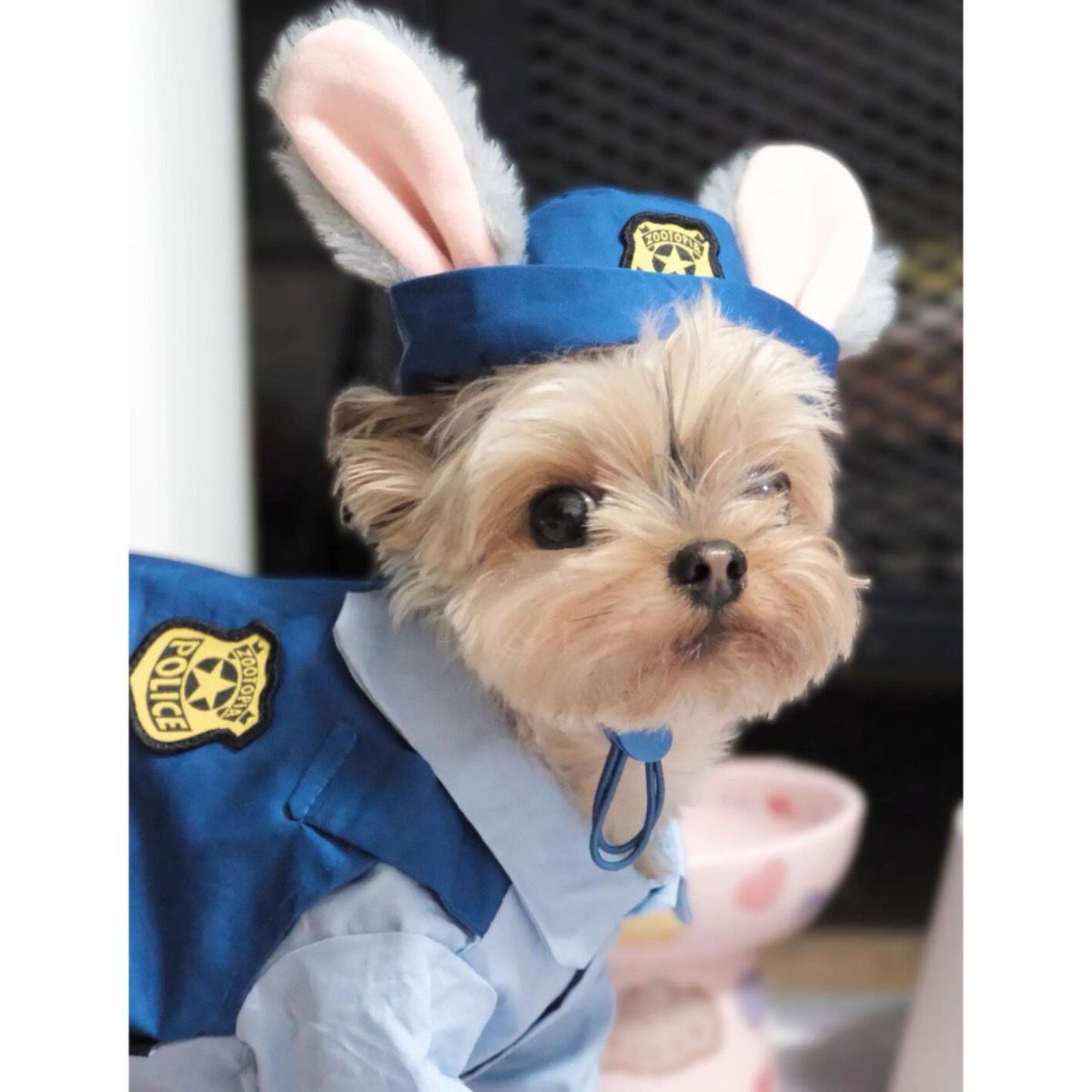 猫咪朱迪帽子cos服狗狗变身装宠物装扮配饰