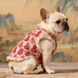 宠物狗狗过年衣服法斗巴哥加绒保暖拜年服唐装喜庆新年装防寒马甲
