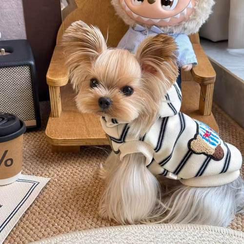 秋冬狗狗衣服卫衣宠物雪纳瑞泰迪比熊马尔济斯博美柴犬约克夏猫咪