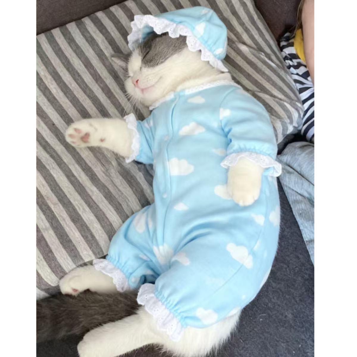 猫咪衣服四脚睡衣防脱防掉毛冬季服装猫咪连体衣四脚