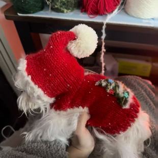 宠物圣诞针织毛衣狗狗猫咪衣服约克夏比熊泰迪雪纳瑞秋冬节日服饰