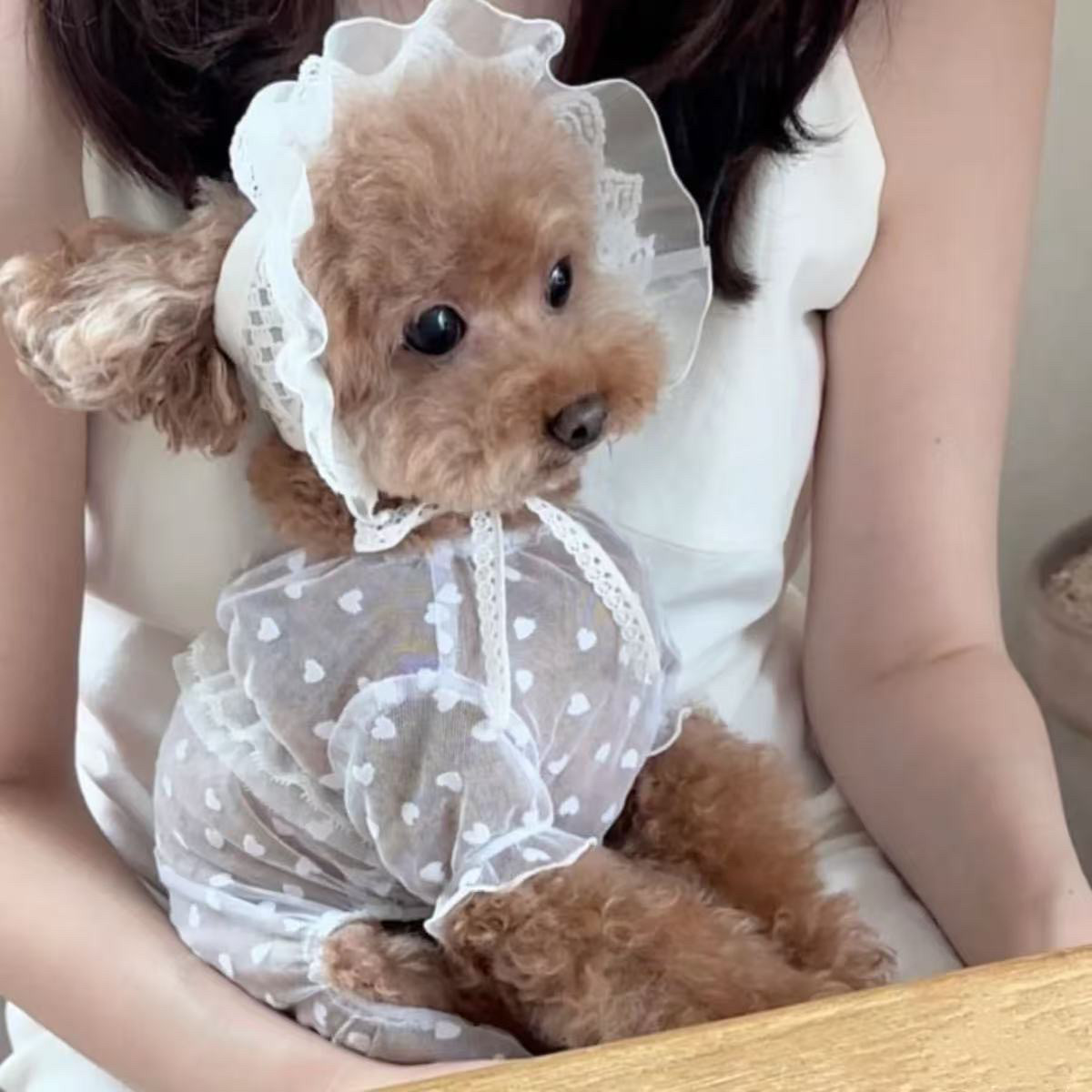 狗狗衣服蕾丝裙夏天网纱猫咪衣服猫咪可爱公主衣服防掉