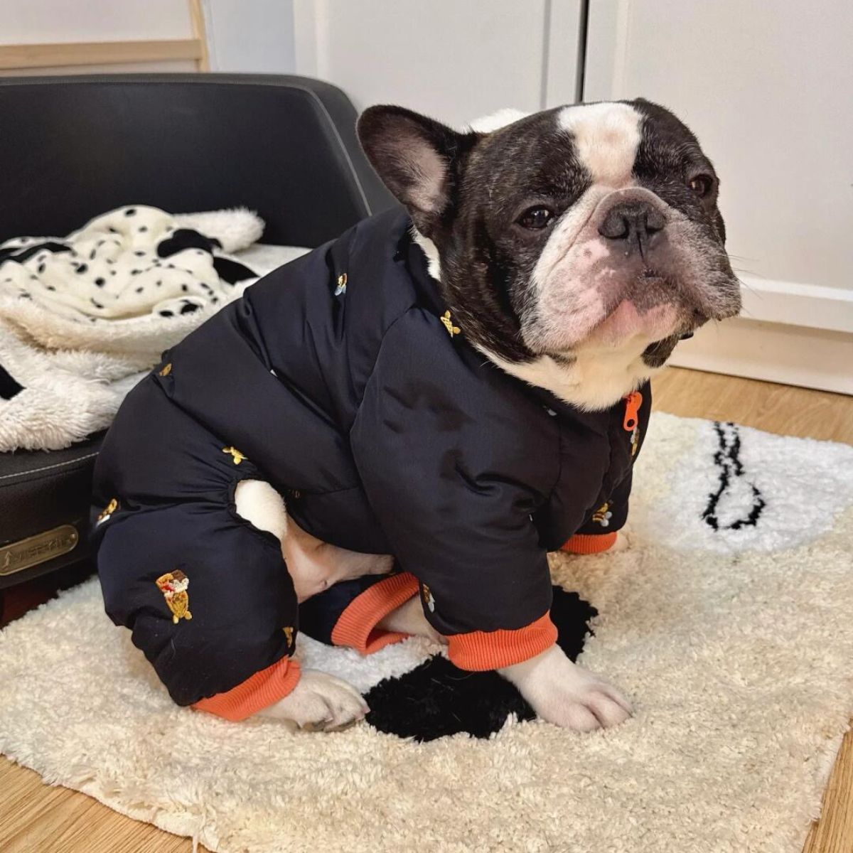 秋冬狗狗衣服四脚可爱宠物小狗法斗八哥刺熊保暖春秋款网红棉衣