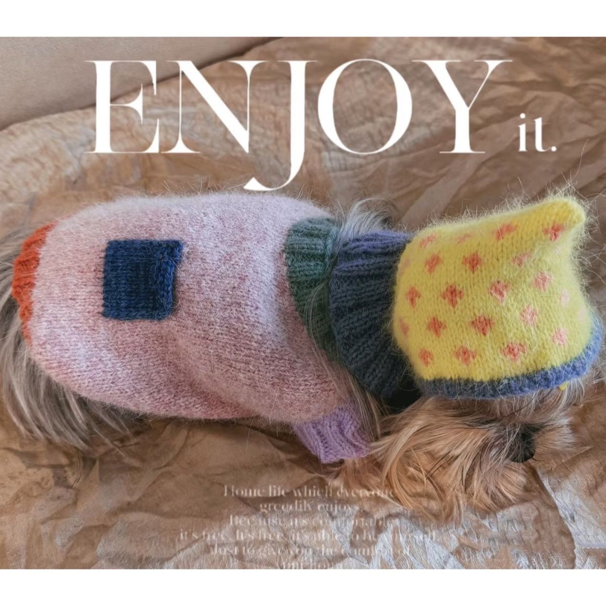 小狗狗衣服宠物秋冬款泰迪比熊雪纳瑞小型犬简约秋冬毛衣外套