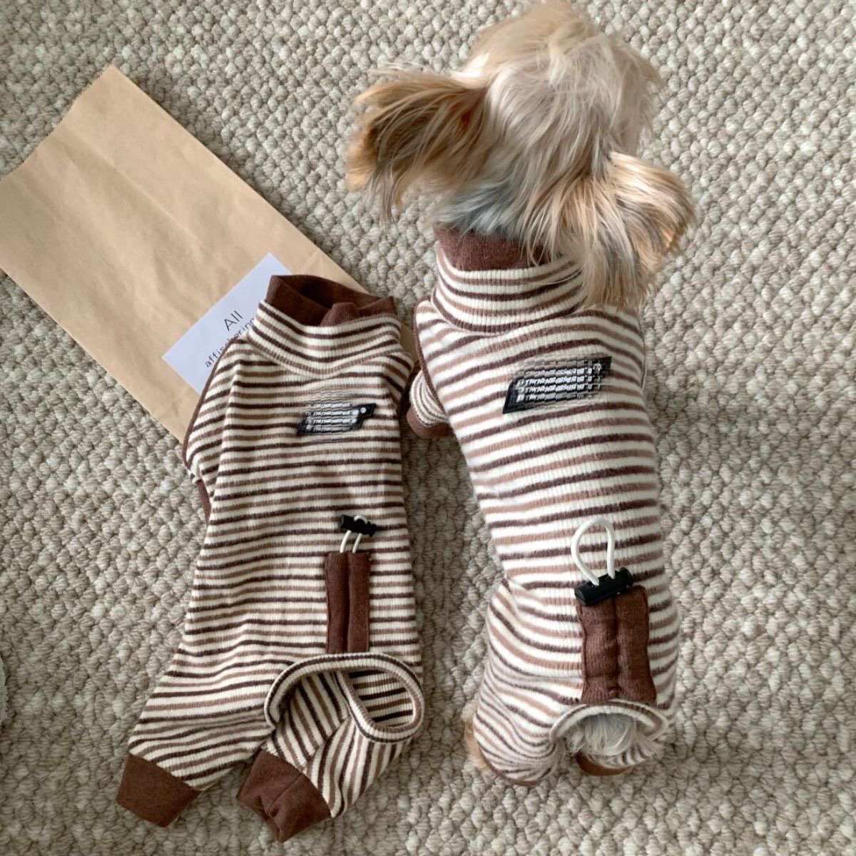 狗狗衣服秋冬款新款小狗四脚条纹打底比熊泰迪小型犬宠物衣服