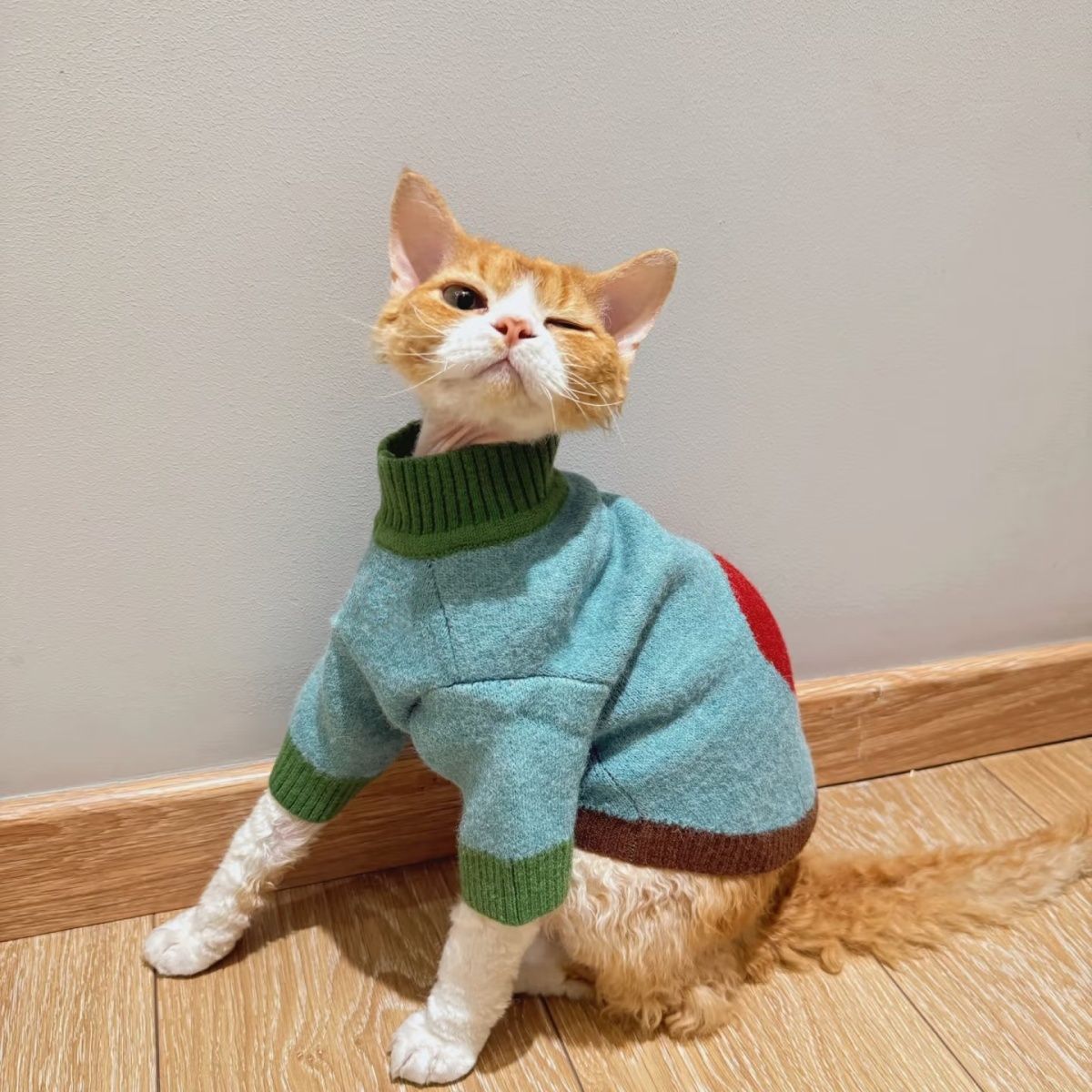 宠物毛衣猫狗可爱大苹果毛衣秋冬狗狗保暖衣服比熊猫咪中小型犬