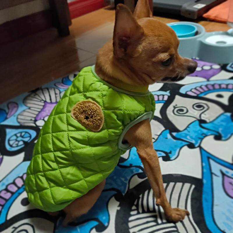 狗狗衣服吉娃娃小鹿犬秋冬装泰迪比熊博美幼犬小型犬宠物猫咪衣服