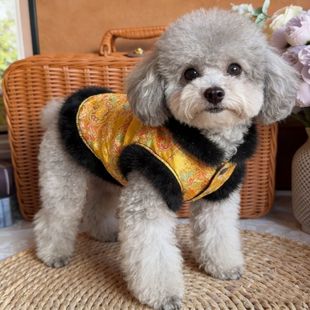 狗狗衣服喜庆新款冬装比熊泰迪雪纳瑞新年小型犬宠物小狗过年衣服
