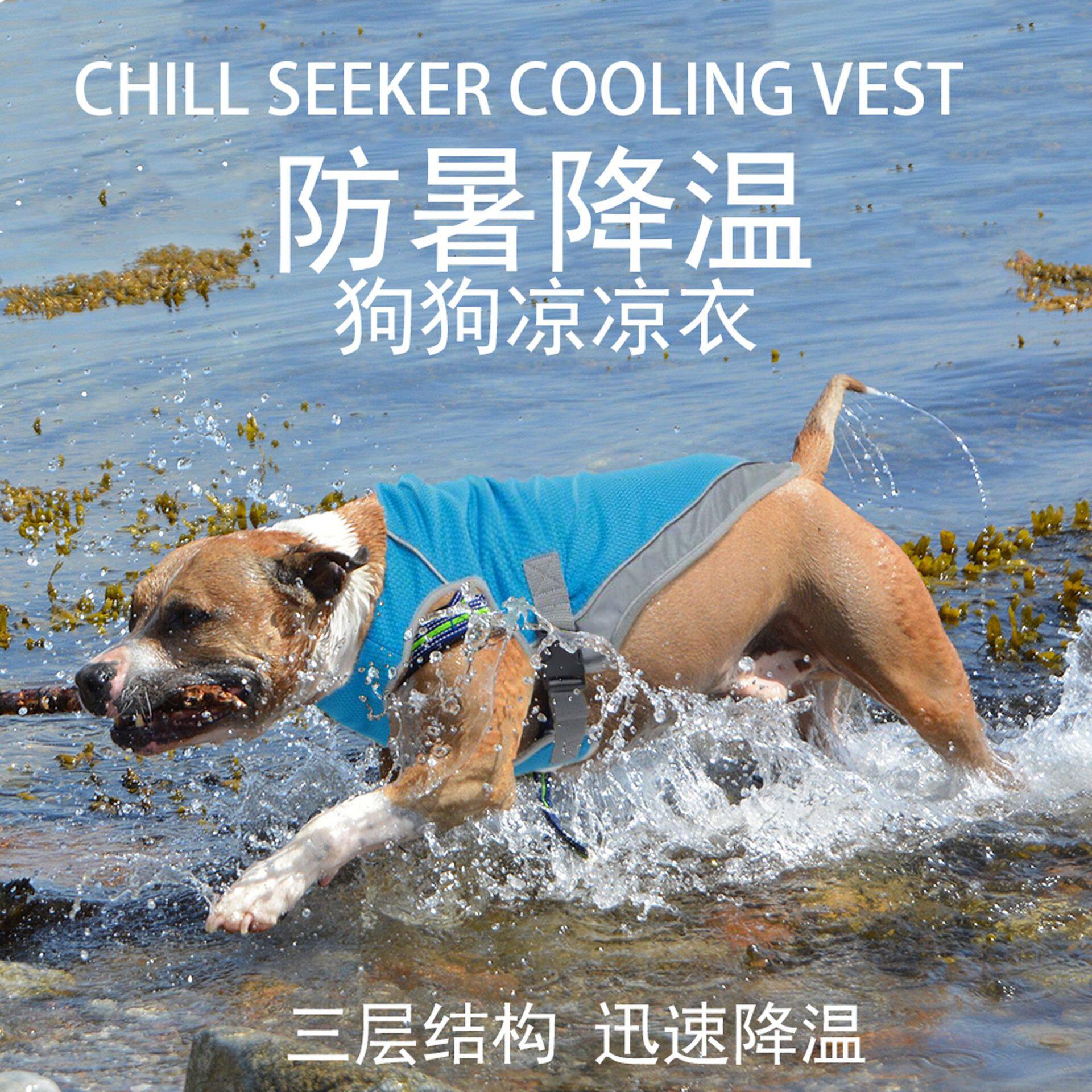 INS爆款夏季狗狗降温彩虹色宠物凉凉衣 夏天法斗防暑马甲背心