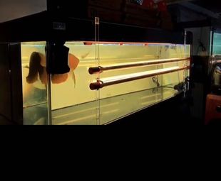 鱼缸万能侧灯LED灯管外挂烤色灯挂架亚克力支架通用灯架龙鱼