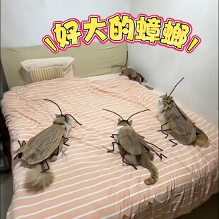 猫咪蟑螂衣服手工diy扭扭棒材料包螂的诱惑装扮cos服搞怪宠物衣服