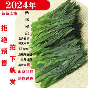 太平布尖绿茶2024年新茶太平猴魁