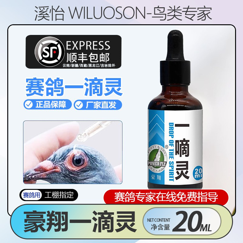 豪翔鸽用一滴灵单眼伤风护眼用品