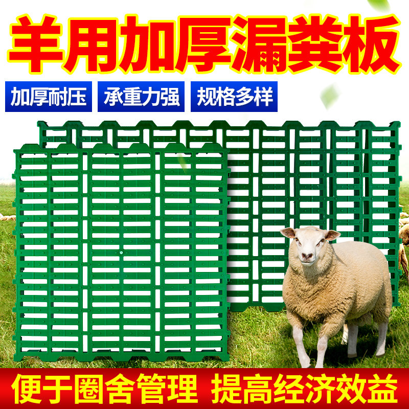 羊用漏粪板养羊漏粪板羊圈羊棚羊栏塑料羊舍羊床板漏粪板养殖设备