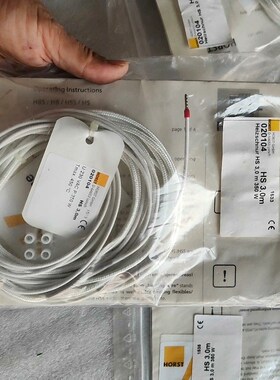 HORST GmbHD-64653 Lorsch 议价