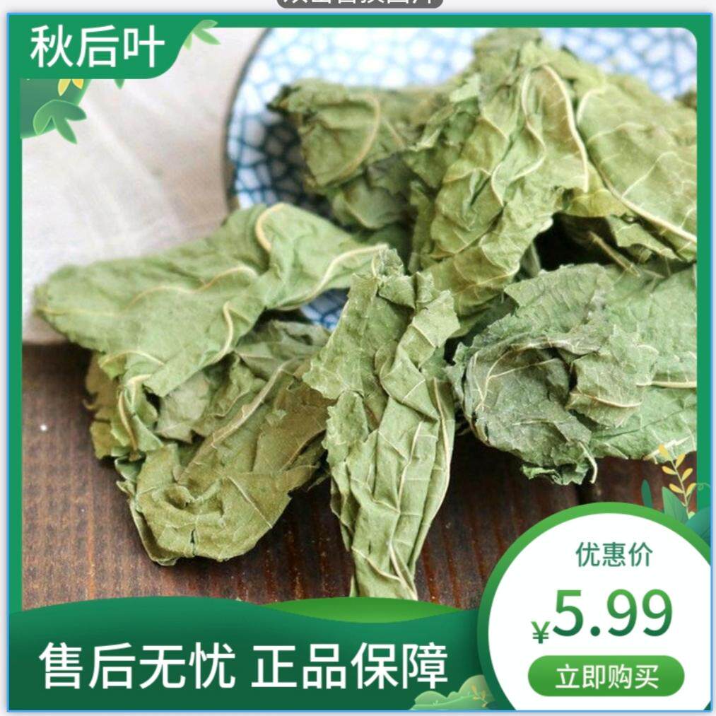 天然野生中药材桑叶干桑叶霜后桑叶散装包邮新货产地冬桑叶新货