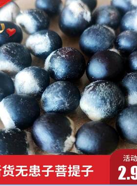 无患子种子木患子籽不含果皮做手串手链念佛珠菩提子原料大小随机