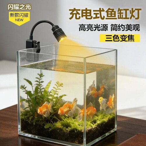 充电鱼缸灯小型专用led免插电观赏照明灯充电氛围乌龟晒背水草灯