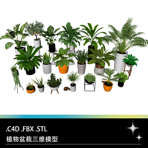 C4D FBX STL植物盆景盆栽散尾葵万年青芦荟雪铁芋海芋三维模型