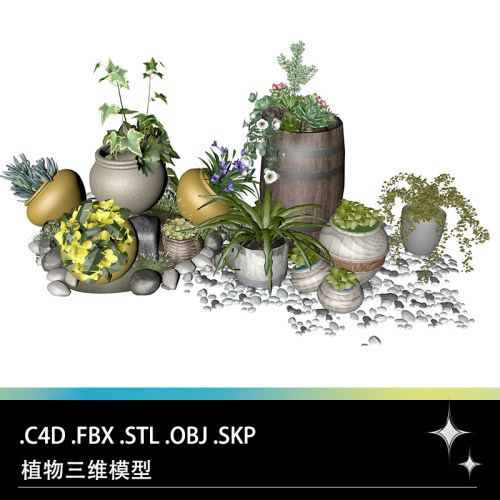 C4D FBX STL OBJ SU多肉植物盆景盆栽仙人球花盆鹅卵石三维模型