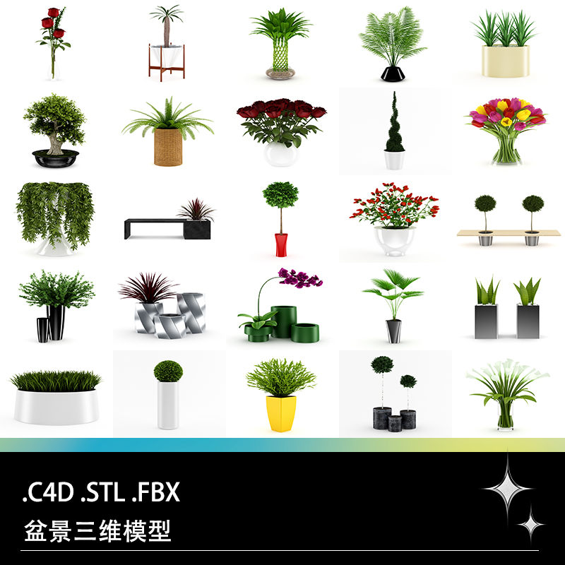 C4D FBX STL植物盆栽富贵竹蒲葵玫瑰肾蕨芦荟三角枫郁金香模型