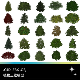 C4D FBX OBJ枫树臭椿耳枥皂荚树红枫树山杨白桦云杉长白松3D模型