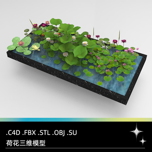 C4D FBX STL OBJ SU Blender池塘荷花荷叶水生植物莲花三维3D模型