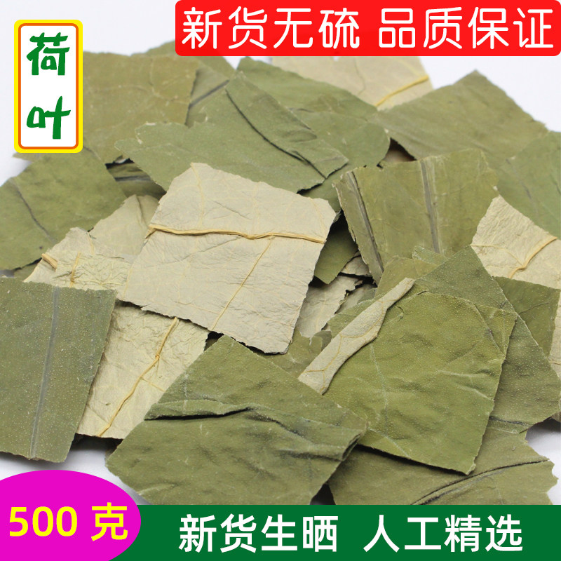 中药材新鲜荷叶干新货无硫正品荷