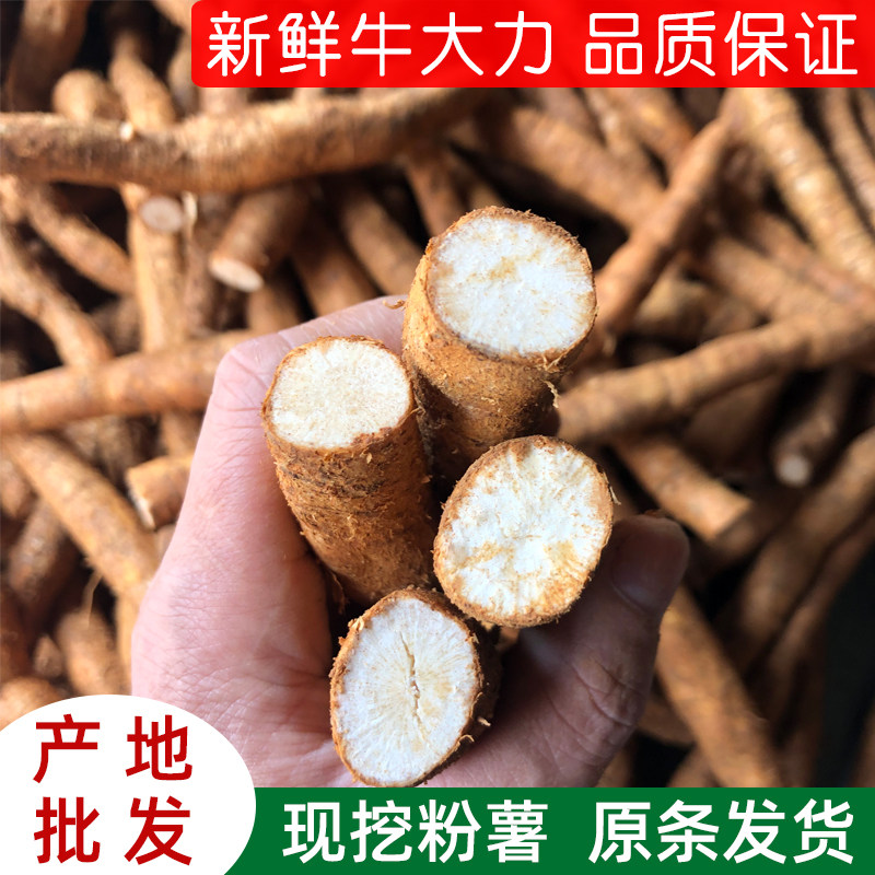 新鲜牛大力粉薯现挖原条发货